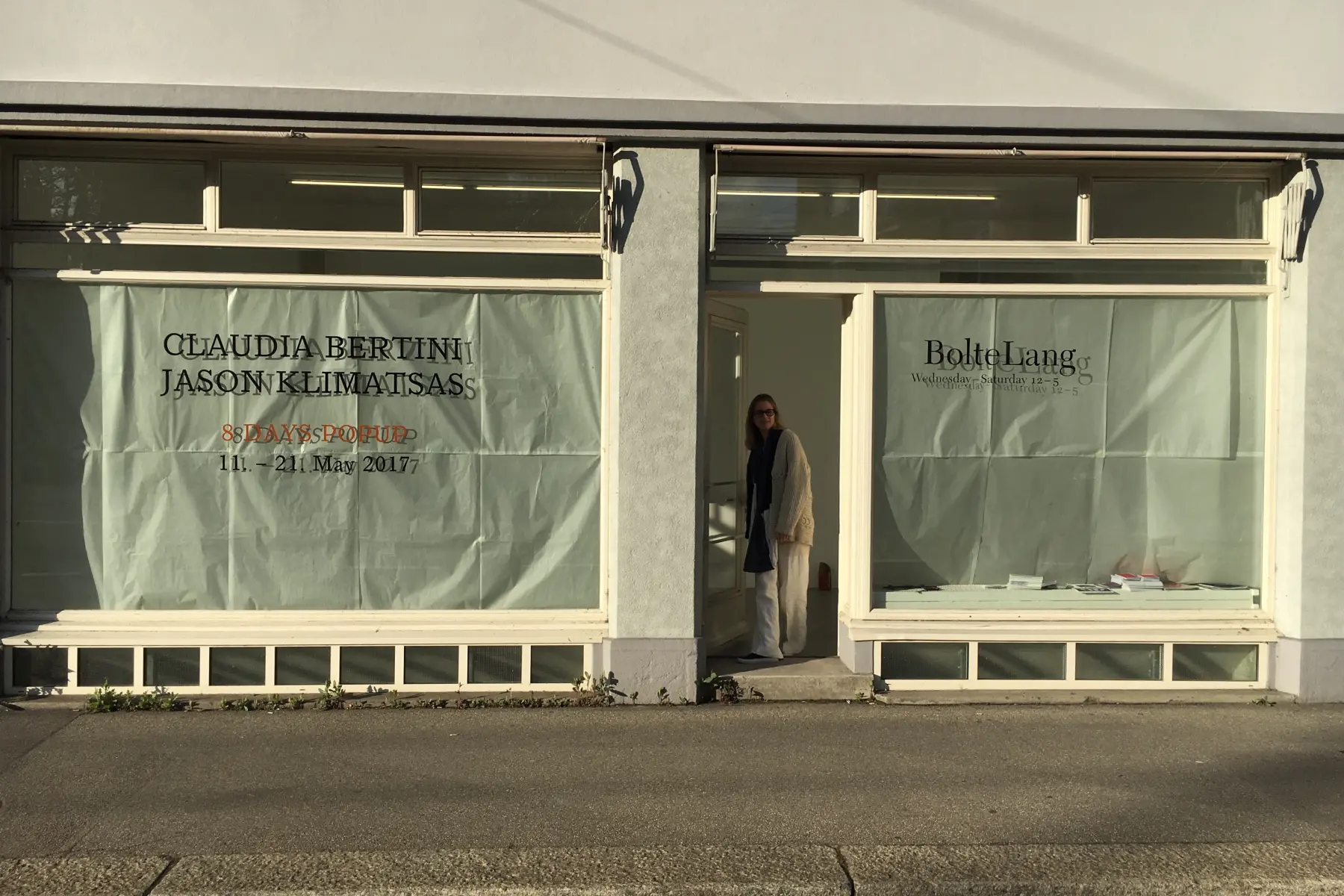 Claudia Bertini Exhibition 3 _ Jason Klimatsas 3