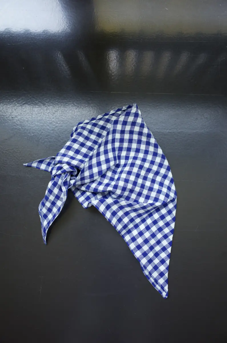 Claudia Bertini - Triangolo Linen checks
