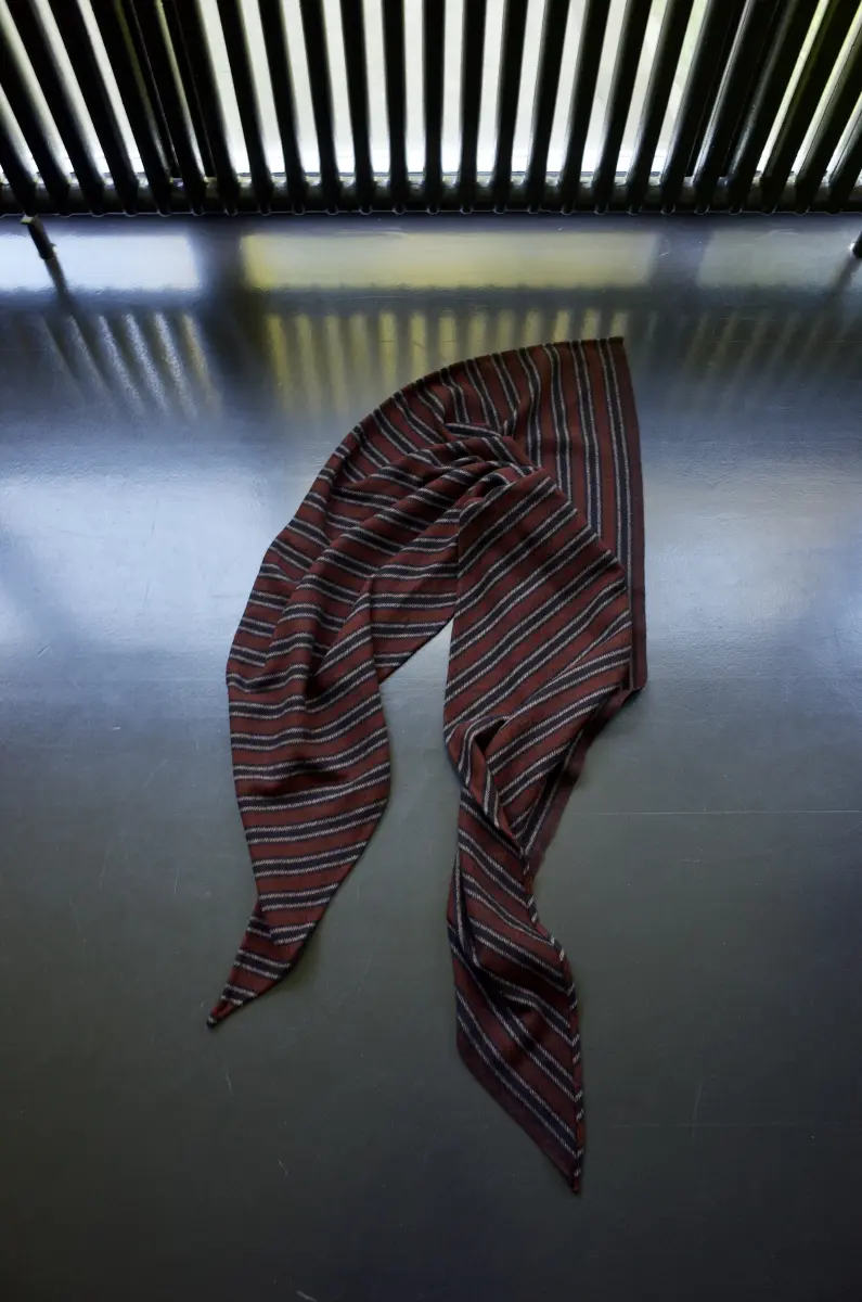 Claudia Bertini - Triangolo stripes