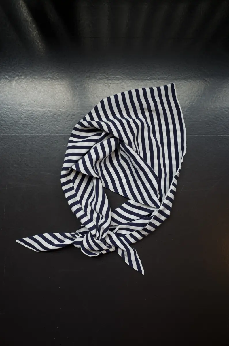 Claudia Bertini - Triangolo Silk stripes